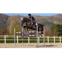 LeMieux Merino+ Wildleder Close Contact Schabracke Flieder Lila