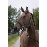 Halfter Norton Satine Schwarz