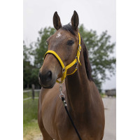 Halfter Norton Satine Honig Gelb Halfter Norton Satine Honig Gelb