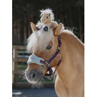 Tiny Pony LeMieux Harlow Wolkig Tiny Pony LeMieux Harlow Wolkig