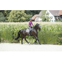 Fliegenhaube LeMieux Signature Grau Fliegenhaube LeMieux Signature Grau
