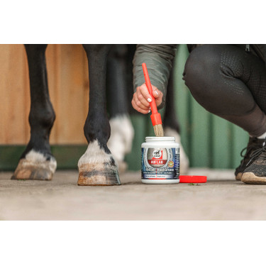 Natürliche Salbe Leovet Huf Lab mit Pinsel Natürliche Salbe Leovet Huf Lab mit Pinsel
