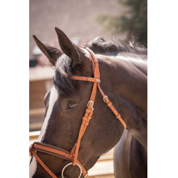 Trense Pénélope Eleganz Cognac Braun