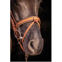 Trense Pénélope Eleganz Cognac Braun