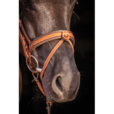 Trense Pénélope Eleganz Cognac Braun