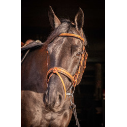 Trense Pénélope Eleganz Cognac Braun