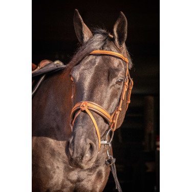 Trense Pénélope Eleganz Cognac Braun