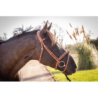 Trense Pénélope Eleganz Cognac Braun