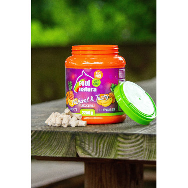 Nachfüllpackung natürliche Leckerlis Equinatura