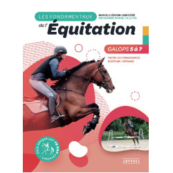 Die Grundlagen Galops 5 bis 7