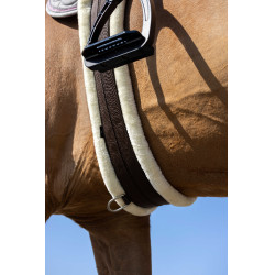 Elastischer Gurt Norton Smooth Braun Elastischer Gurt Norton Smooth Braun