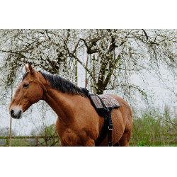 Reitpad Norton Kiowa