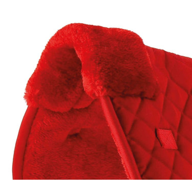 Rückenschoner Riding World Rot