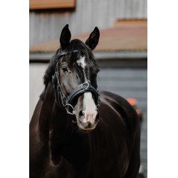 Breites Caveçon Norton Schwarz