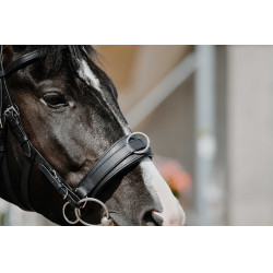 Breites Caveçon Norton Schwarz