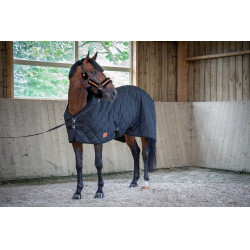 Gestepptes Paddock-Sports-Pferdedecke Schwarz