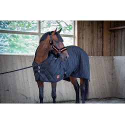 Gestepptes Paddock-Sports-Pferdedecke Schwarz Gestepptes Paddock-Sports-Pferdedecke Schwarz
