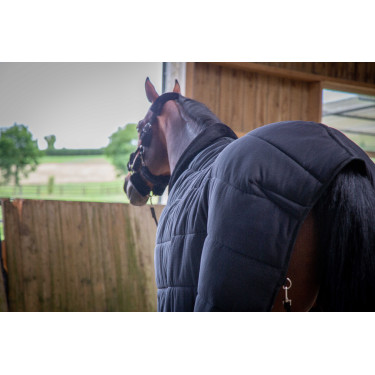 Unterdecke Paddock Sports Underblanket Schwarz