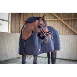 Unterdecke Paddock Sports Underblanket Schwarz