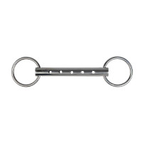 Flötentrense Metalab