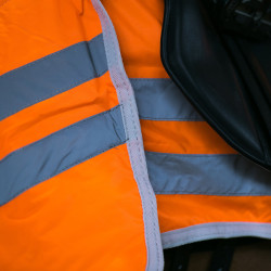 Reflektierende fluoreszierende Nierendecke Horze Reflektierende fluoreszierende Nierendecke Horze