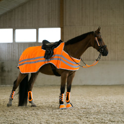 Fluoreszierende Horze Hufglocken Fluoreszierende Horze Hufglocken