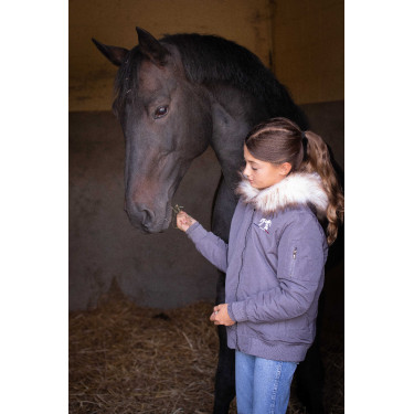 Bombers Eden von PL Lyon Glitzer Grau