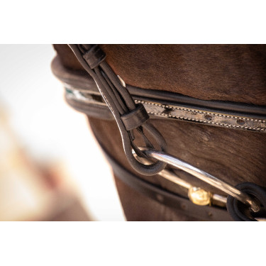 Trensenzaum Pénélope Smoothie Schwarz