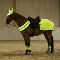 Reflektierende Ausreitdecke Fluo Horze Gelb Reflektierende Ausreitdecke Fluo Horze Gelb