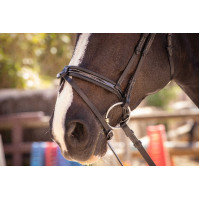 Trensenzaum Pénélope Smoothie Havanna Braun Trensenzaum Pénélope Smoothie Havanna Braun