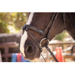 Trensenzaum Pénélope Smoothie Schwarz