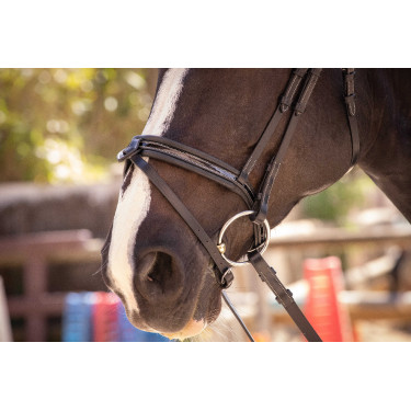 Trensenzaum Pénélope Smoothie Schwarz