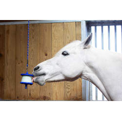 Halterung für Likit Salzleckstein 650 g Blau