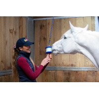 Halterung für Likit Salzleckstein 650 g Blau