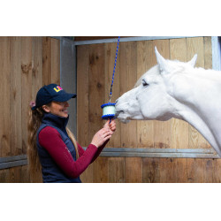 Halterung für Likit Salzleckstein 650 g Blau