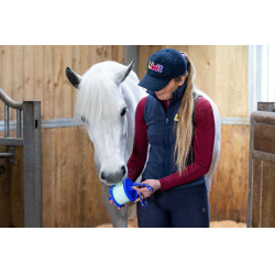 Halterung für Likit Salzleckstein 650 g Blau