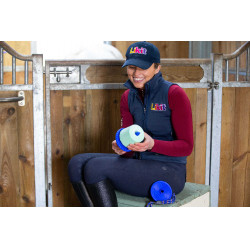 Halterung für Likit Salzleckstein 650 g Blau