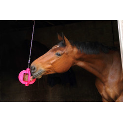 Spielzeug Bizzy Ball Likit Fuchsie Rosa Spielzeug Bizzy Ball Likit Fuchsie Rosa