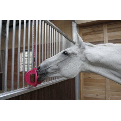 Spielzeug Bizzy Ball Likit Fuchsie Rosa Spielzeug Bizzy Ball Likit Fuchsie Rosa