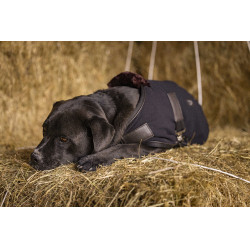 Polar-Decke Diego & Louna Teddy Marineblau Polar-Decke Diego & Louna Teddy Marineblau