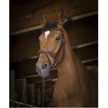 Bridon Norton Pro Rock Havanna Braun Bridon Norton Pro Rock Havanna Braun