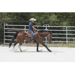 Sattel Westride by Franck Perret Aurora Haselnuss Braun Sattel Westride by Franck Perret Aurora Haselnuss Braun