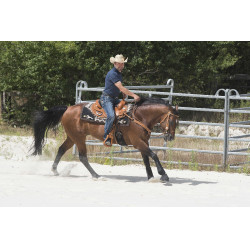 Sattel Westride by Franck Perret Aurora Haselnuss Braun Sattel Westride by Franck Perret Aurora Haselnuss Braun