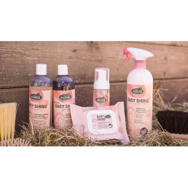 Easy Shine Wipe Ravene Reinigungstücher