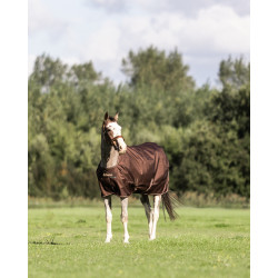 Bucas Irish Turnout 300 g Decke mit Halsteil Espresso Braun Bucas Irish Turnout 300 g Decke mit Halsteil Espresso Braun