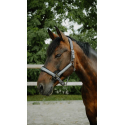 Equithème Glowy Halfter Schwarz / schwarz