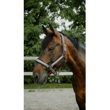 Equithème Glowy Halfter Schwarz / schwarz