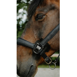 Equithème Glowy Halfter Schwarz / schwarz