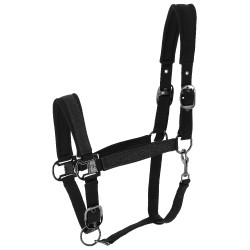 Equithème Glowy Halfter Schwarz / schwarz