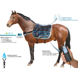 E.Ziback M1 Vibrierende Massagematte für Pferde E.Ziback M1 Vibrierende Massagematte für Pferde